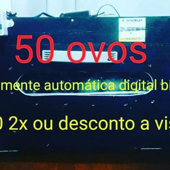 Chocadeira 50 ovos automtica digital . Guia de empresas e servios