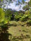 Imvel rural  venda, 60 m por R$ 1.200.000,00