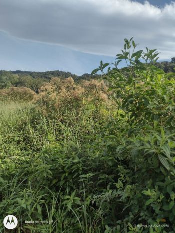 Terreno/Lote  venda  no Mina Velha - Garuva, SC. Imveis